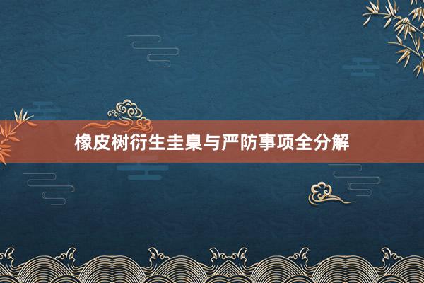 橡皮树衍生圭臬与严防事项全分解